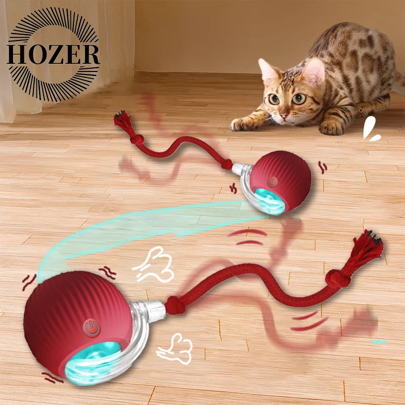 Cat Interactive Ball Toy