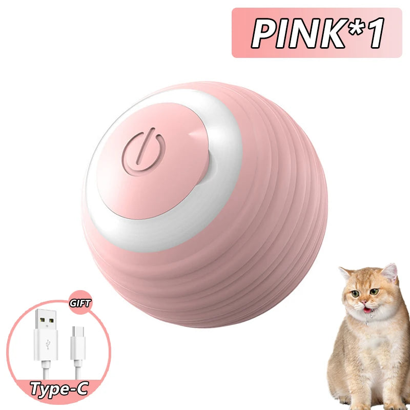 Cat Interactive Ball Toy